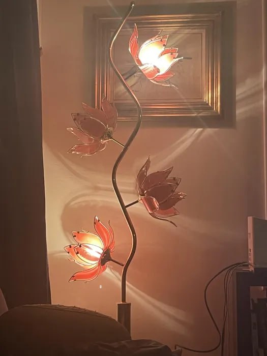 Set it up in five minutes, love it for years